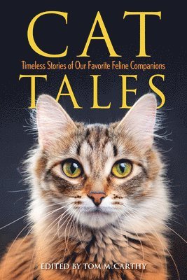 bokomslag Cat Tales