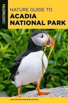 bokomslag Nature Guide to Acadia National Park
