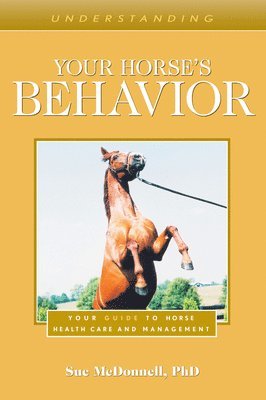 Understanding Your Horse's Behavior 1