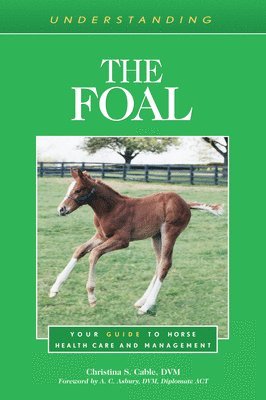 Christina S. Cable - Understanding the Foal, Häftad