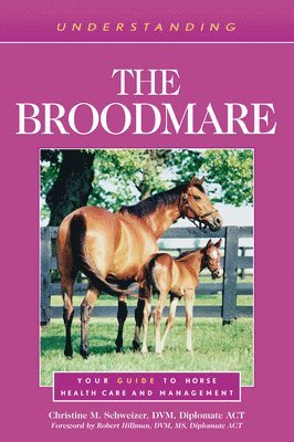 Christine M. Schweizer - Understanding the Broodmare, Häftad