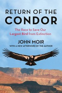 bokomslag Return of the Condor