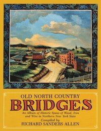 bokomslag Old North Country Bridges