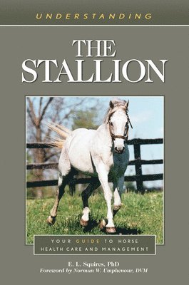 Understanding the Stallion 1