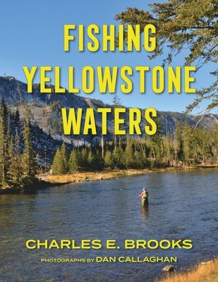 Fishing Yellowstone Waters 1