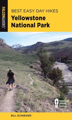 Best Easy Day Hikes Yellowstone National Park 1