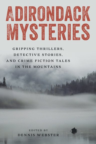 bokomslag Adirondack Mysteries