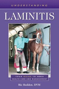 bokomslag Understanding Laminitis