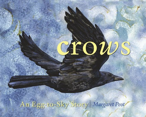 Crows 1