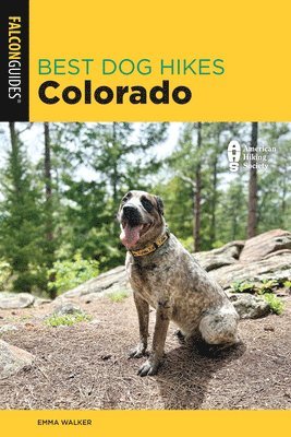 bokomslag Best Dog Hikes Colorado