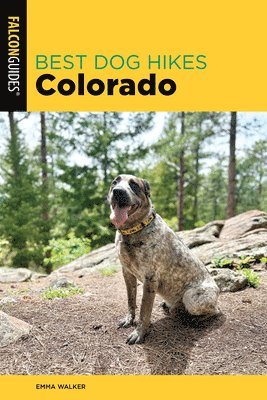 Best Dog Hikes Colorado 1