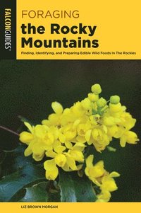 bokomslag Foraging the Rocky Mountains