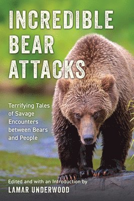 Incredible Bear Attacks 1