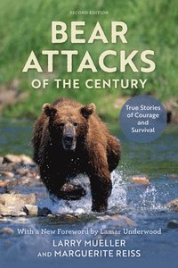 bokomslag Bear Attacks of the Century