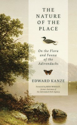 Nature of the Place 1
