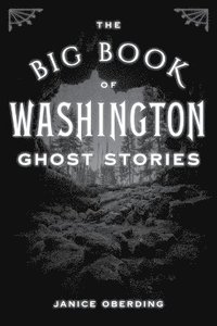 bokomslag Big Book of Washington Ghost Stories