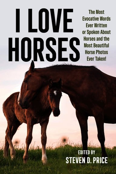 Steven D. Price - I Love Horses, Häftad