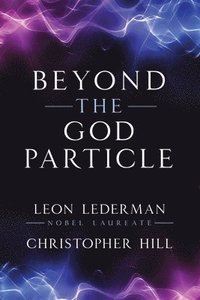 bokomslag Beyond the God Particle