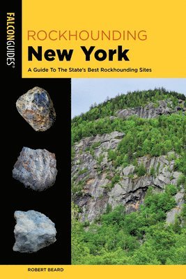 bokomslag Rockhounding New York