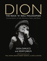 bokomslag Dion