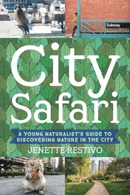 Jenette Restivo - City Safari, Häftad