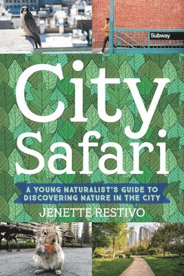 bokomslag City Safari