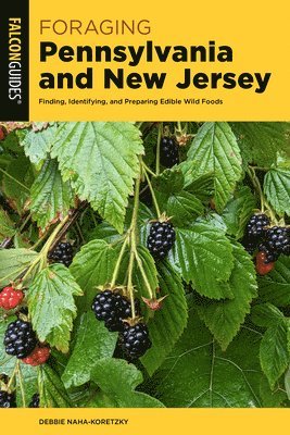Debbie Naha-Koretzky - Foraging Pennsylvania and New Jersey, Häftad
