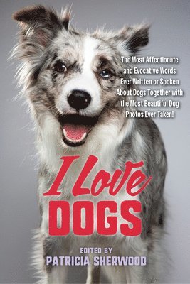 bokomslag I Love Dogs