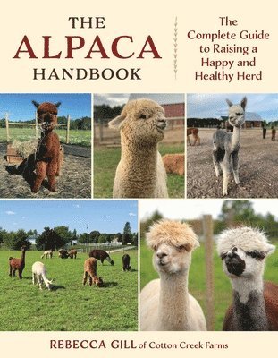 Rebecca Gill - Alpaca Handbook, Häftad