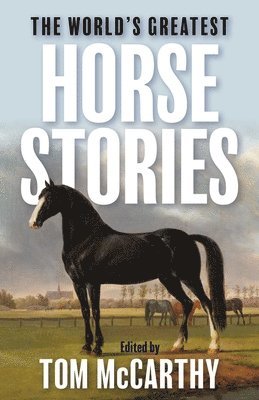 Tom McCarthy - World's Greatest Horse Stories, Häftad