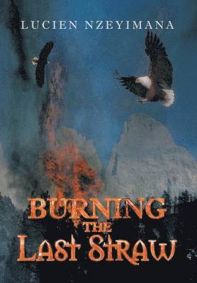 Burning the Last Straw