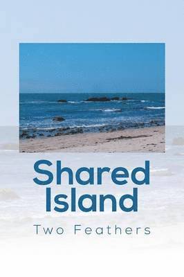 Shared Island 1