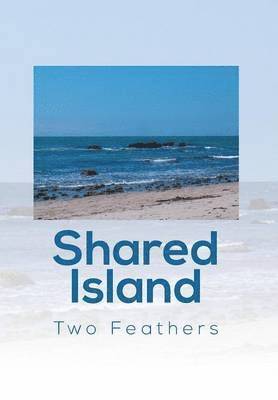 Shared Island 1