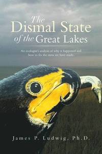 bokomslag The Dismal State of the Great Lakes
