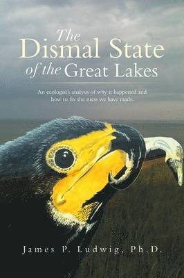 bokomslag Dismal State of the Great Lakes