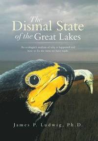 bokomslag Dismal State of the Great Lakes