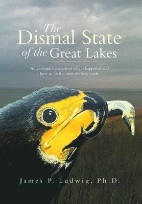 bokomslag Dismal State of the Great Lakes