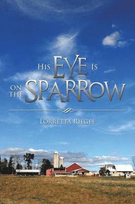 Lorretta Riegel - His Eye Is on the Sparrow, Häftad