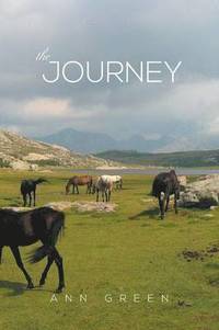 bokomslag Journey
