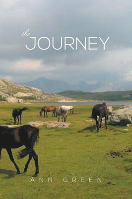 bokomslag Journey
