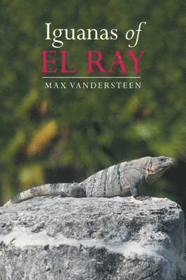 bokomslag Iguanas of El Ray