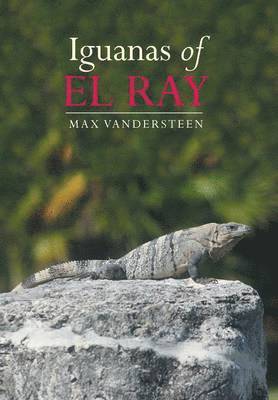 Iguanas of El Ray 1