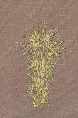 Louise O'Connor, Cecilia Thompson - Marfa and Presidio County, Texas, Häftad