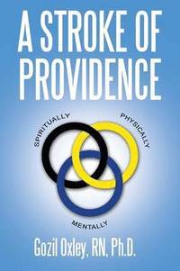 bokomslag Stroke of Providence