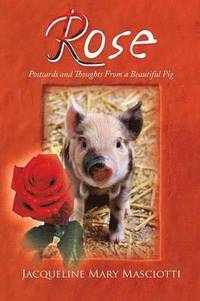 bokomslag Rose - Postcards and Thoughts from a Beautiful Pig