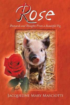 bokomslag Rose - Postcards and Thoughts from a Beautiful Pig