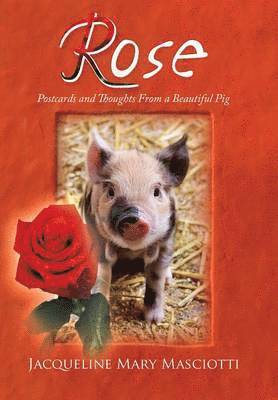 bokomslag Rose - Postcards and Thoughts from a Beautiful Pig