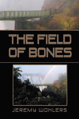 bokomslag Field of Bones