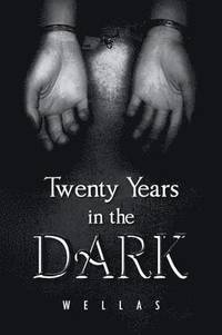 bokomslag Twenty Years in the Dark