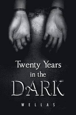 bokomslag Twenty Years in the Dark